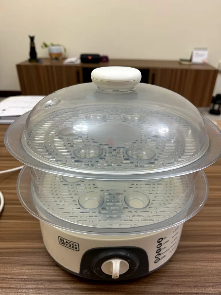 Versatile Electric Steamer for Healthy Cooking!