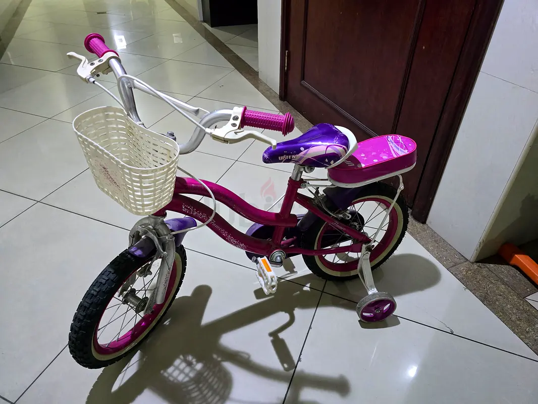 Cute Purple Kids Bicycle for Sale! Perfect for Outdoor Fun!