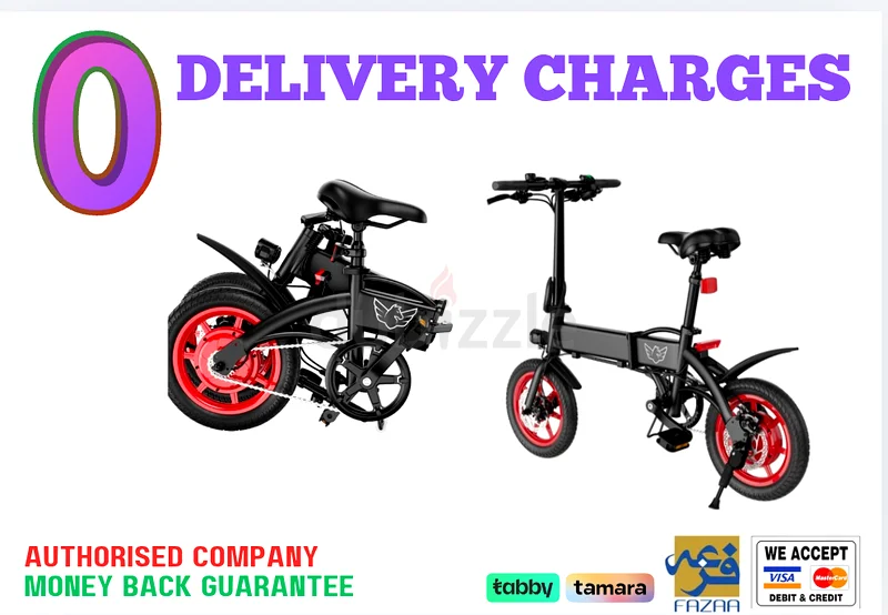 Wind Horse Folding Electric Bike632645813643551110