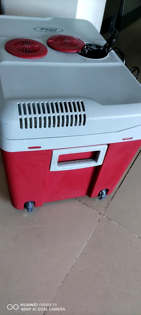 Electric Cooler box63169466380929112