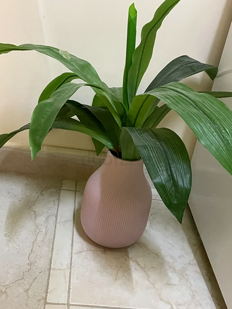 Pink Beautiful Vase63207894080387111