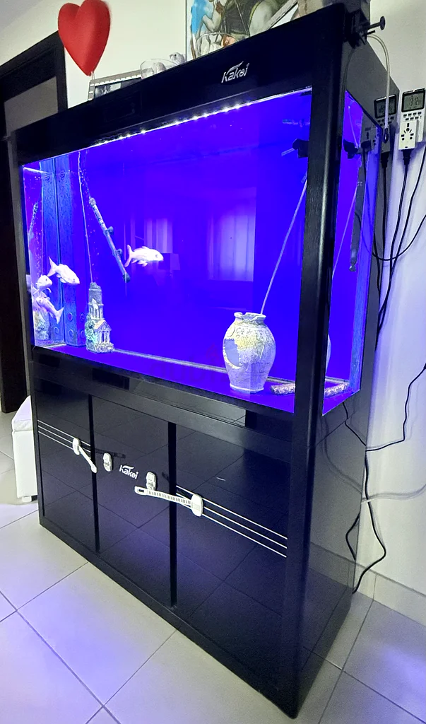 حوض أسماك 150 سم × 120 سم معروض للبيع63172684624130112
