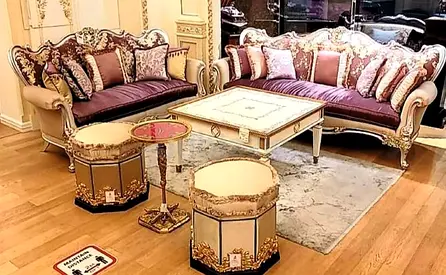 Elegant Vintage Style Living Room Set