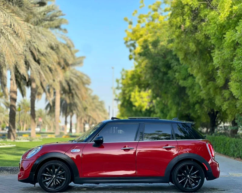 Mini cooper S63139218497666114