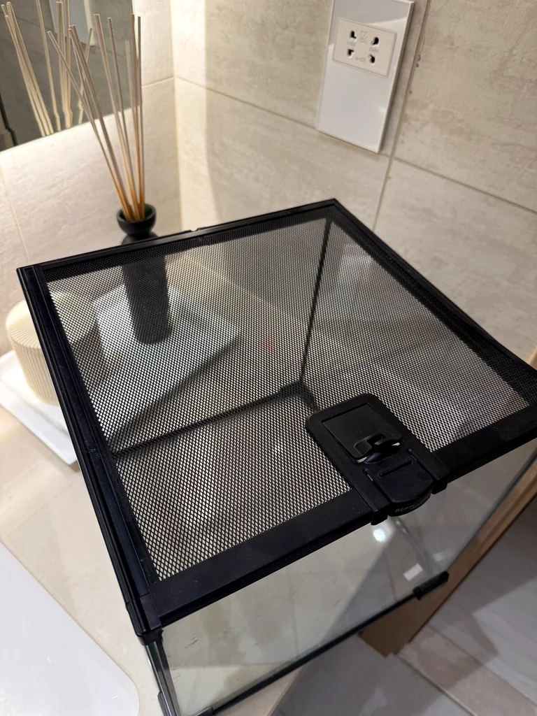 Terrarium small62930649019137111
