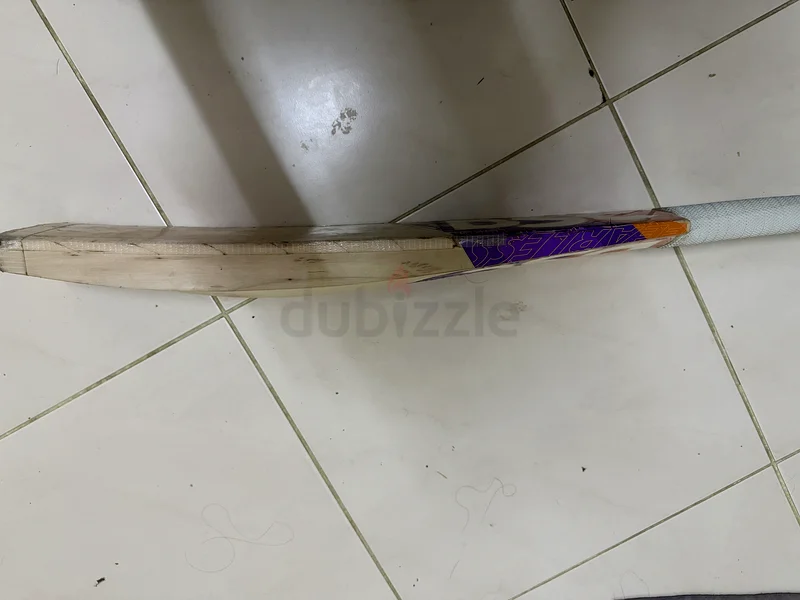 مضرب كريكيت63169465279617111
