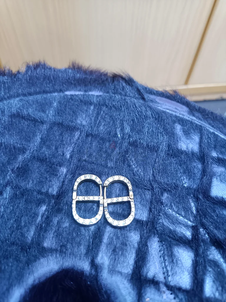 Used Dior earrings63232647687939111