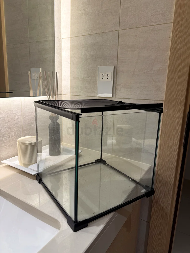 Terrarium small629306490191371122