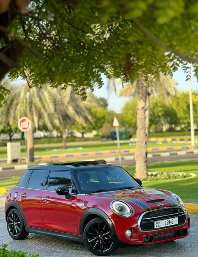 Mini cooper S63139218497666112