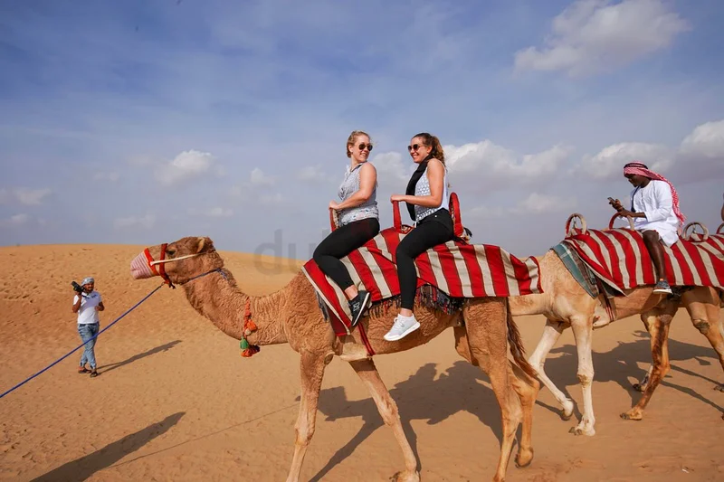 Desert Safari Dubai62933696715649111
