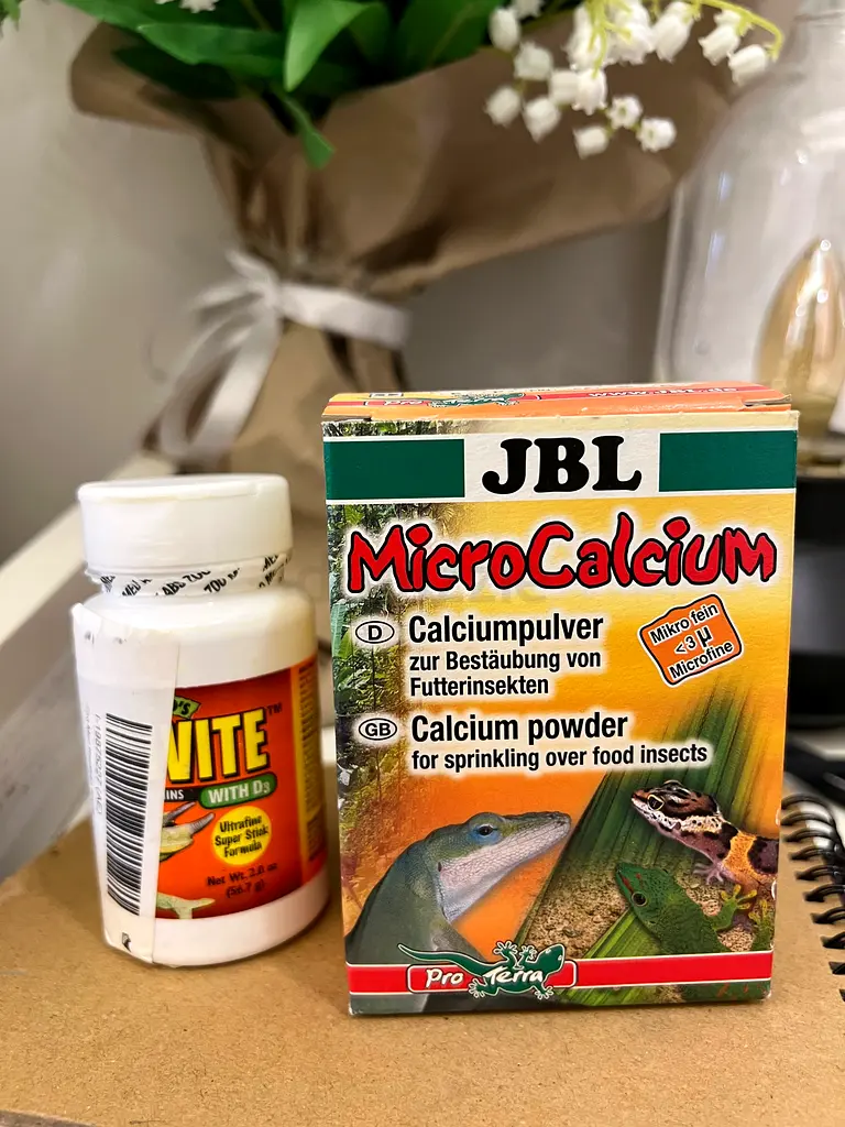 BIOACTIVE CHAMELEON INCLOSURE63265104445314117