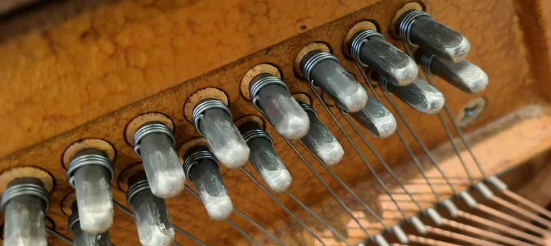 Maintenance workshop for oud and all musical instruments62863829637506111