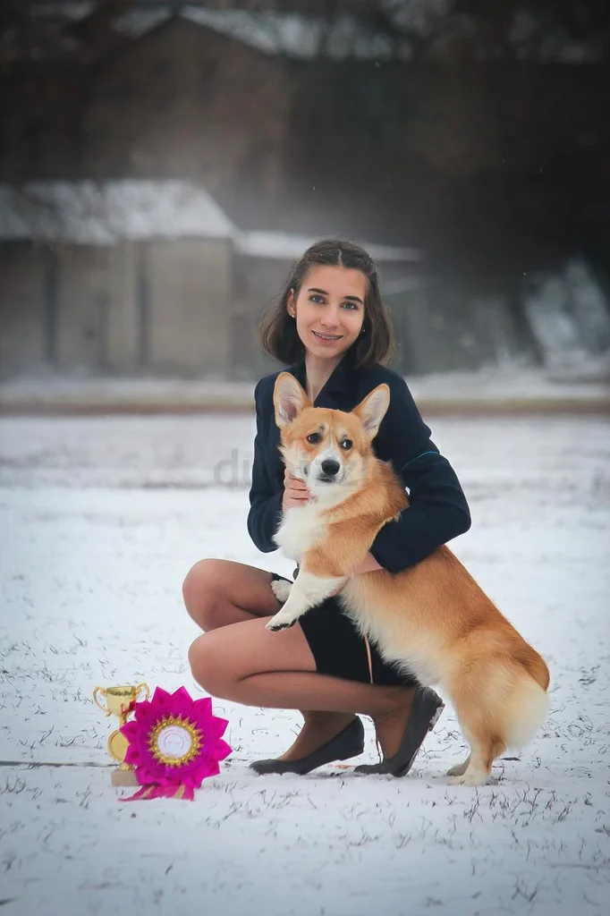 Pet Boarding Business Bay62866839027585111
