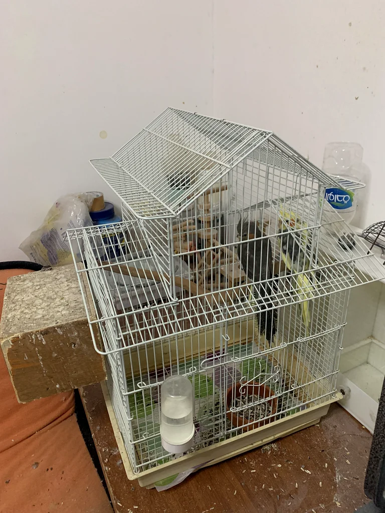 Cage for sale63231685608067111
