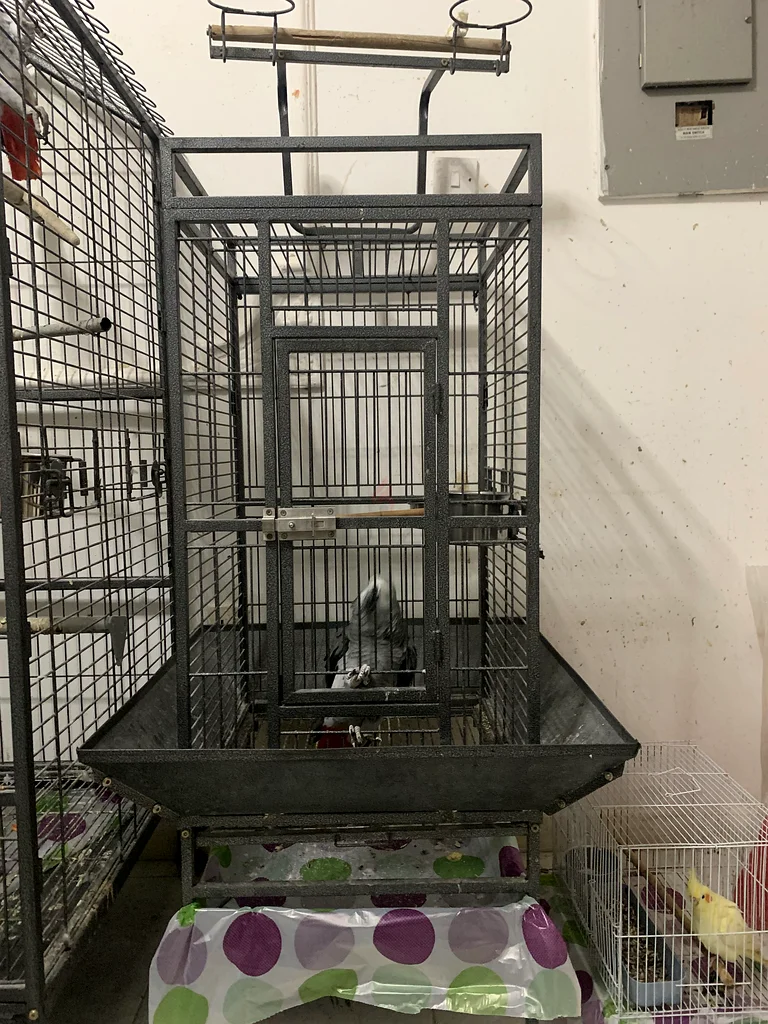 Cage for sale63231685608067114