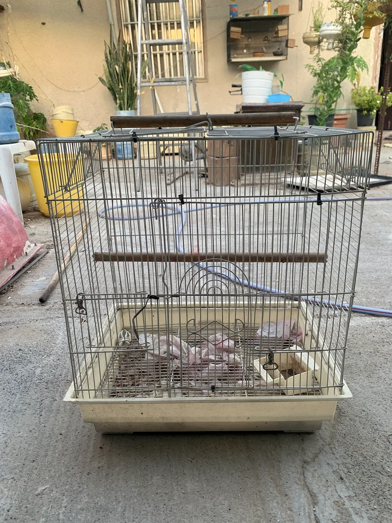 Cage for sale63231685608067112