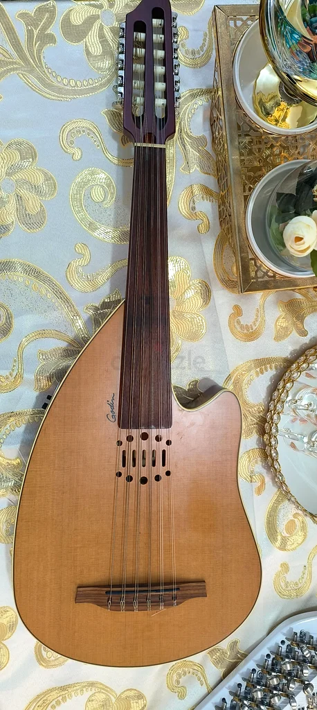 Godin electric oud. Godin electric oud.632272788887071117