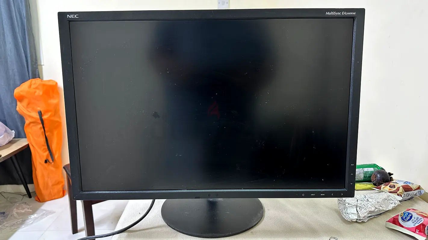 NEC Computer Monitor 24 inch