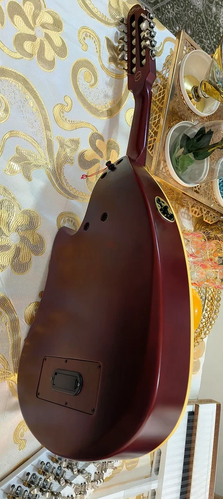 Godin electric oud. Godin electric oud.63227278888707112