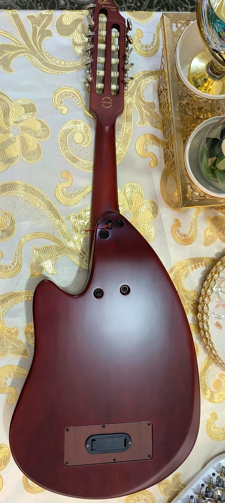 Godin electric oud. Godin electric oud.63227278888707111