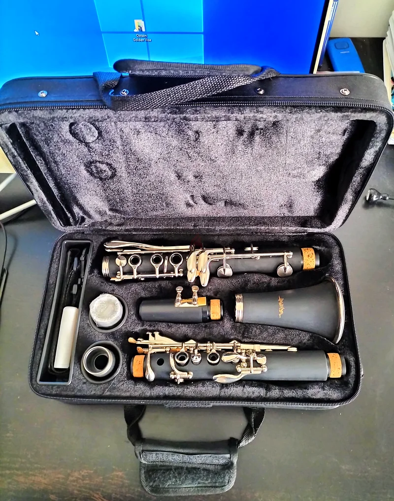 High-Quality Clarinet with Protective Case for Sale632272786634251117