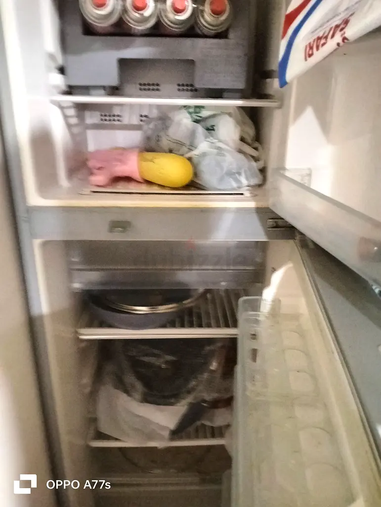 Fridge