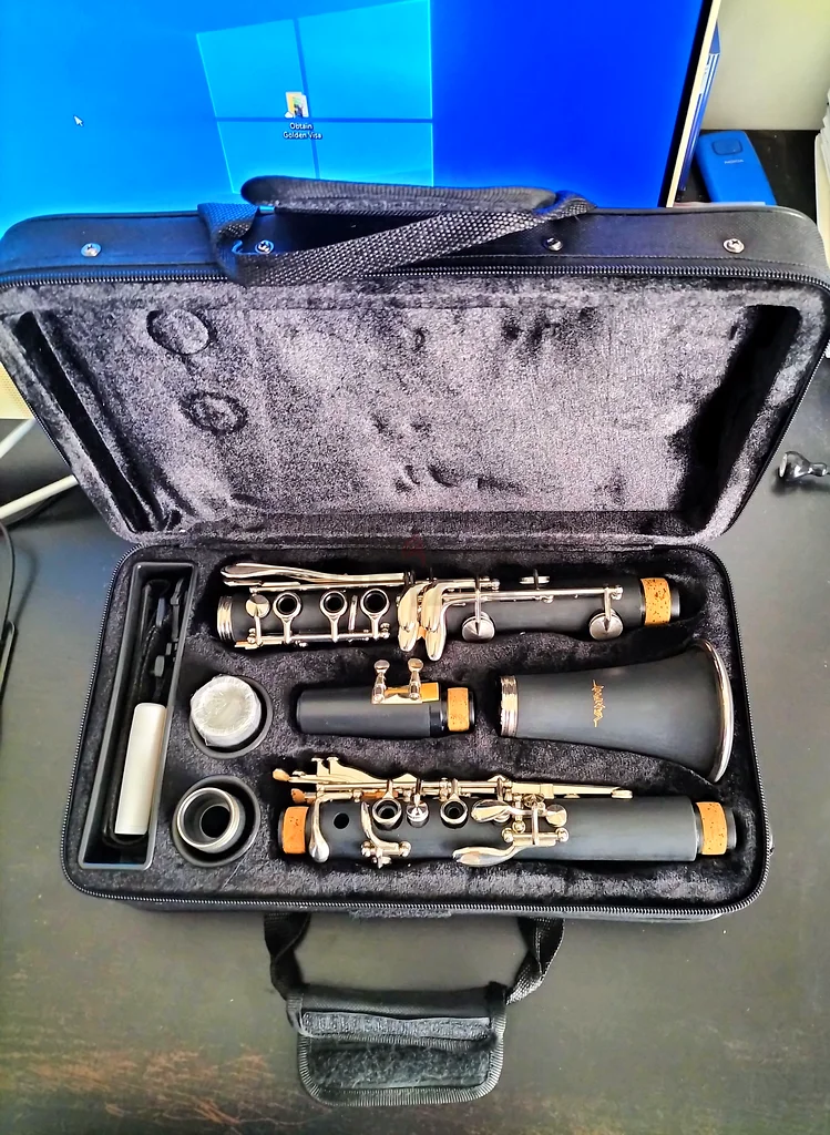 High-Quality Clarinet with Protective Case for Sale63227278663425114