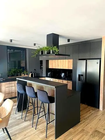 Modern kitchen island with panels