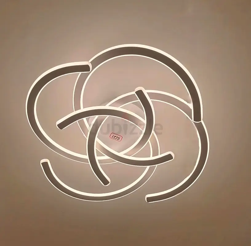 Stylish Modern Ceiling Light Fixture
