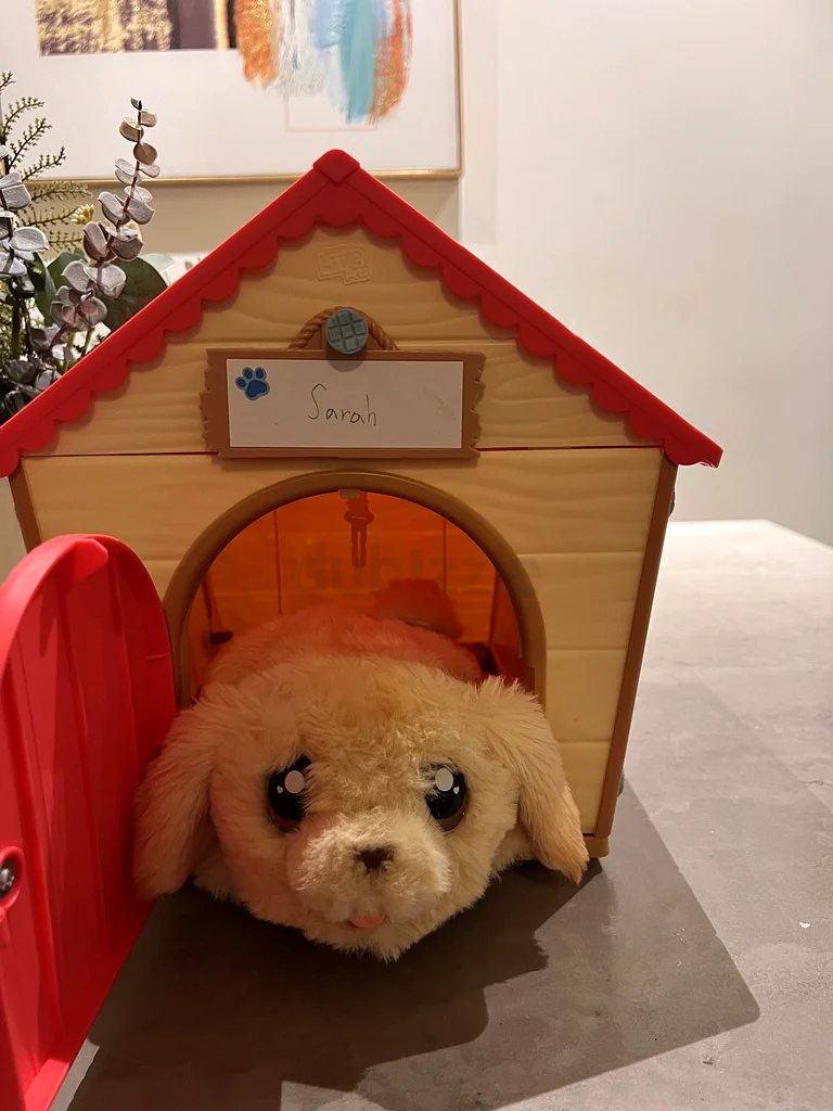 Charming Wooden Dog House for Sale!62931680777859112