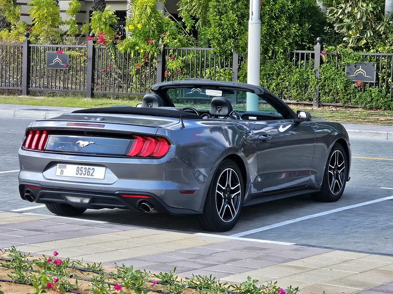 Ford Mustang63156539462019113