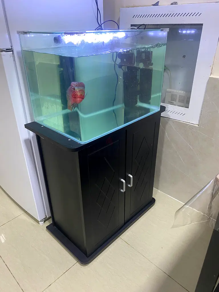 Fish Tank