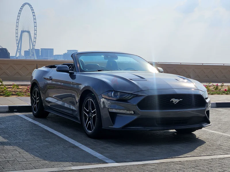Ford Mustang63156539462019111