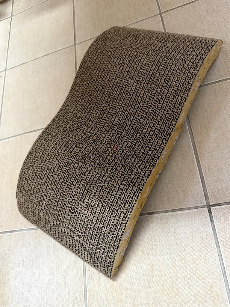 Pet62931682114689111