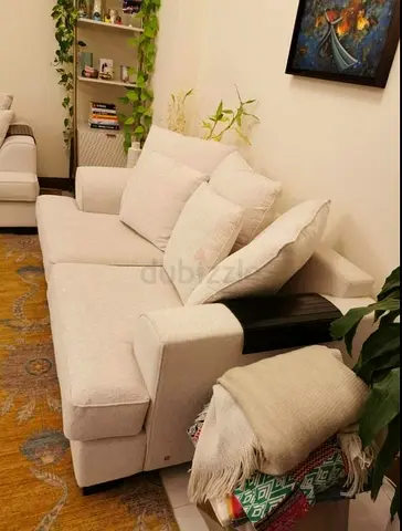 The one brand two seater sofa
