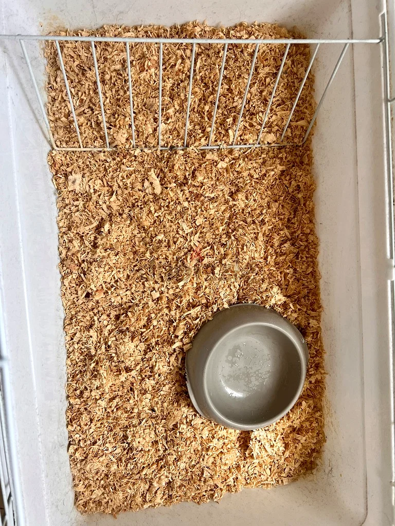 Small Pet Cage Kit63263496805890112