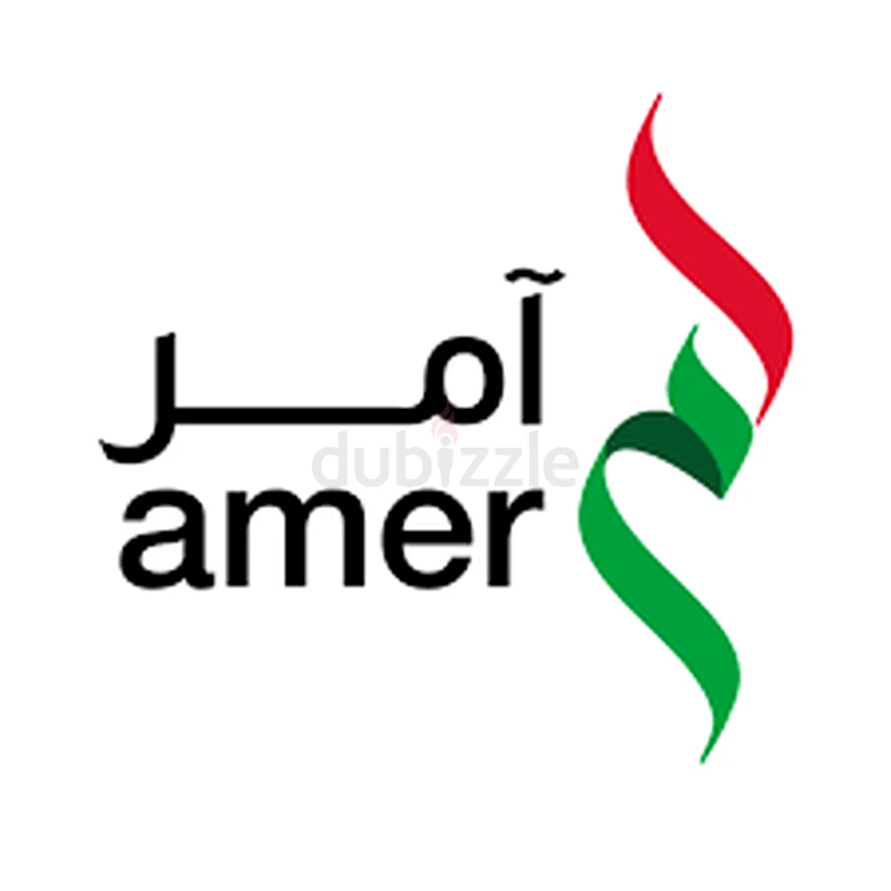 تاسيس الشركات وتخليص معاملات حكومية63185762973313114