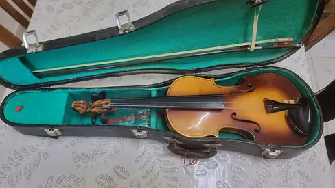 Violin