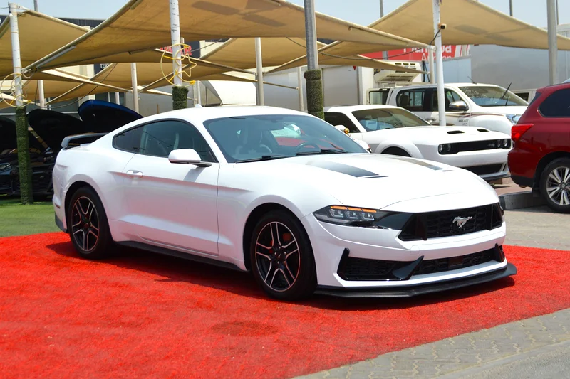 WHITE BLACK CLEAN CAR63168499218689113