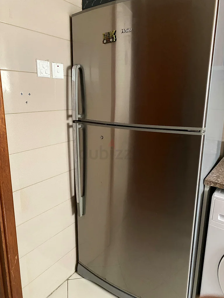 Stainless Steel Refrigerator - Spacious  Stylish!632524436055051121