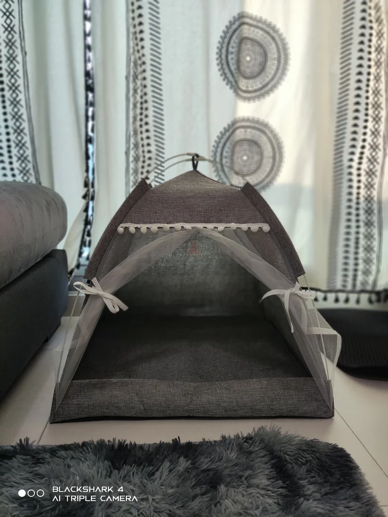 Cat Tent, brand new62930650126337112