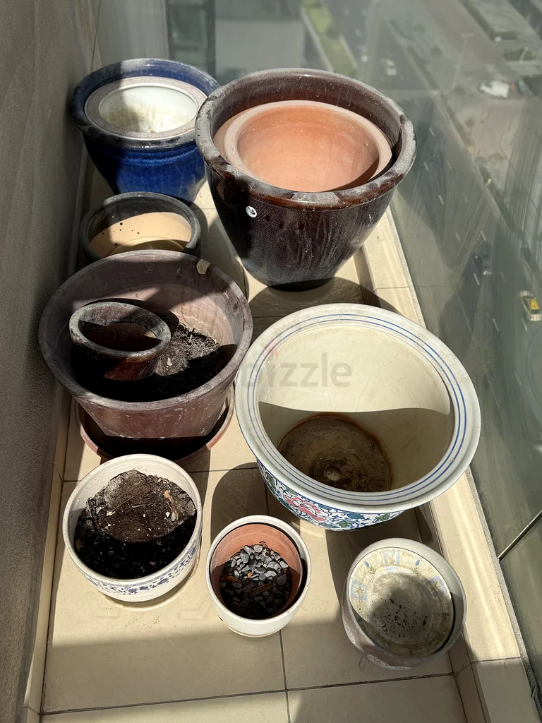 Plants pots to sell63221849154945114