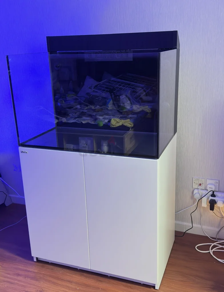 Redsea emax 260 reef aquarium62930650168578111