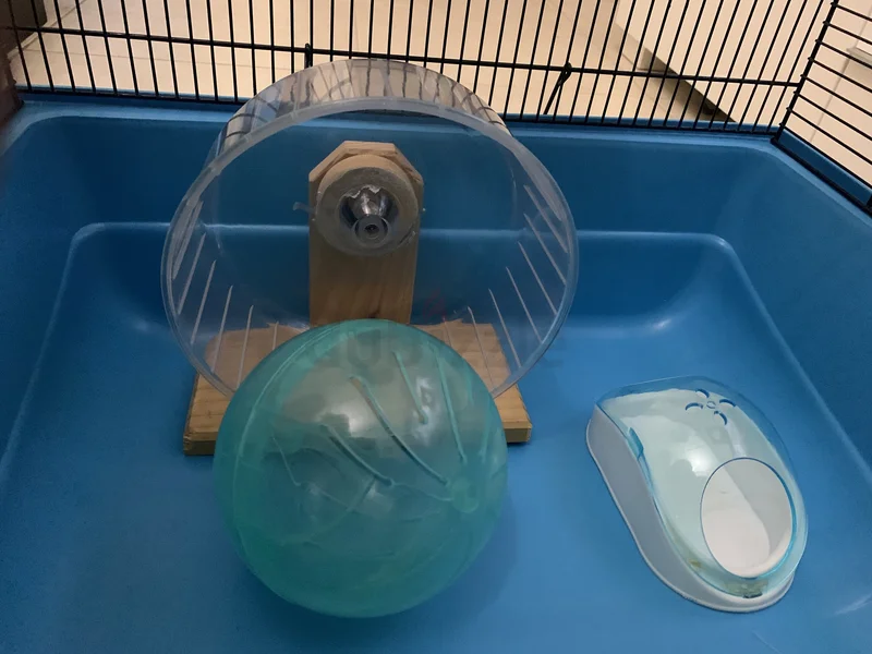 Spacious Cage with Accessories for Hamster62930650143361114