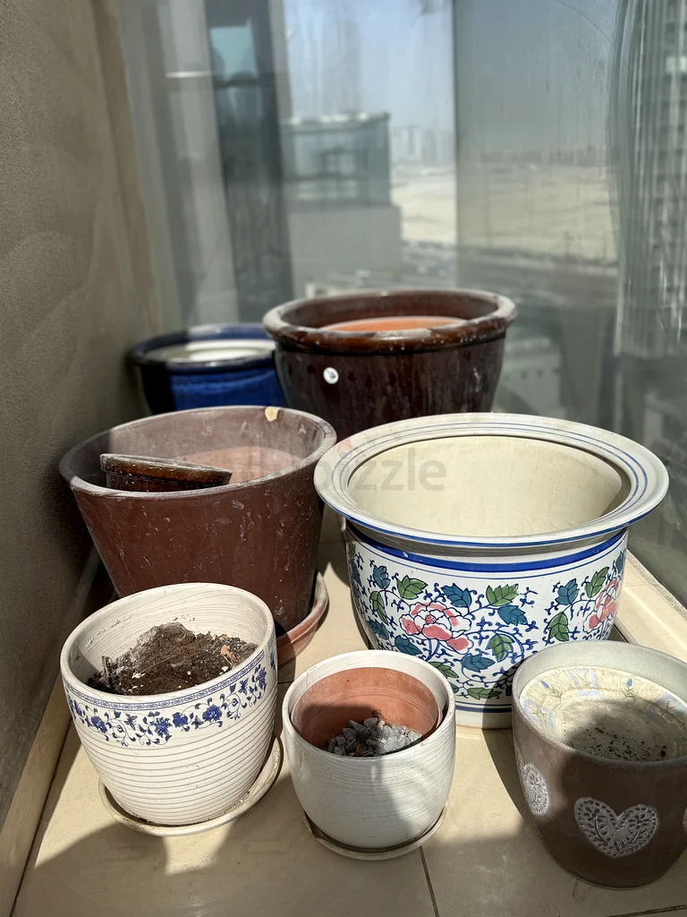 Plants pots to sell63221849154945112