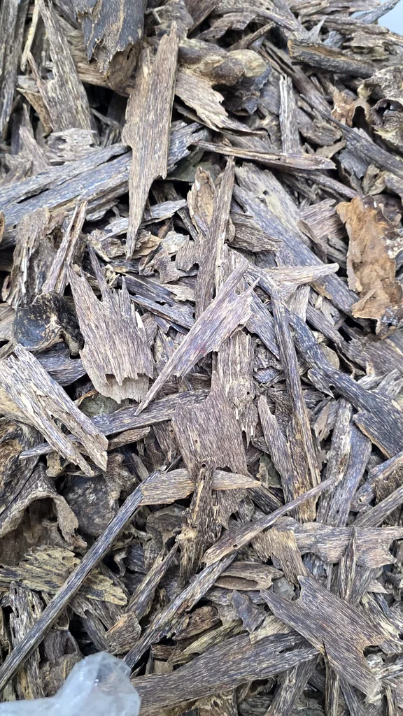 Oudh Indonesia63221347710595112