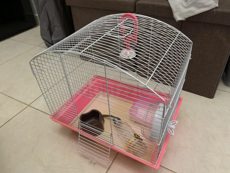 Stylish Small Animal Cage for Sale!62930650137986115