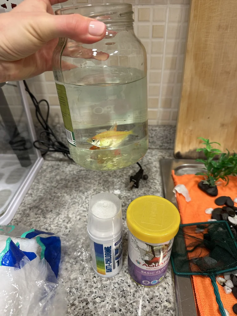 Aquarium Essentials Starter Pack - Fish Food  Supplies629306501319691114