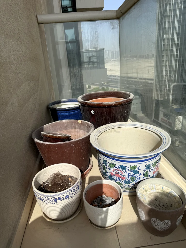 Plants pots to sell63221849154945111