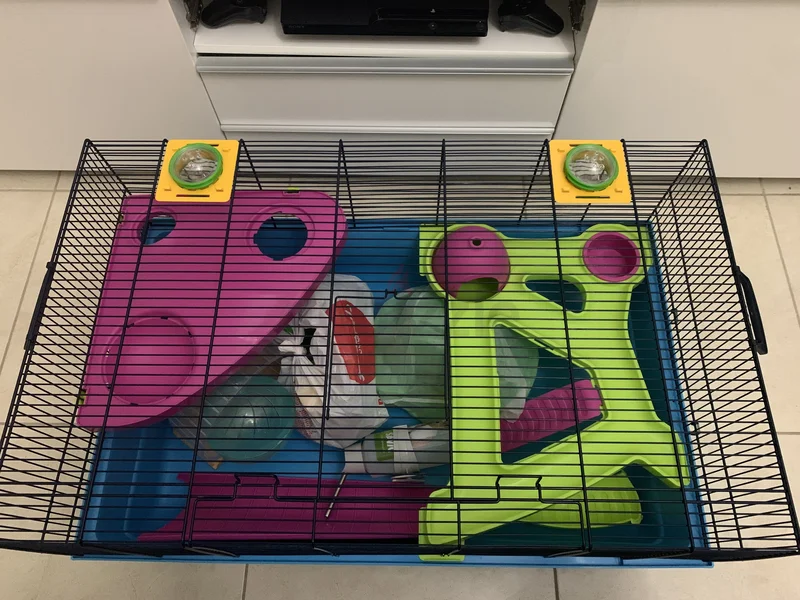 Spacious Cage with Accessories for Hamster62930650143361112